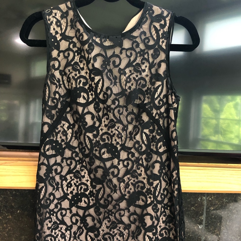 Ann Taylor Loft lace dress